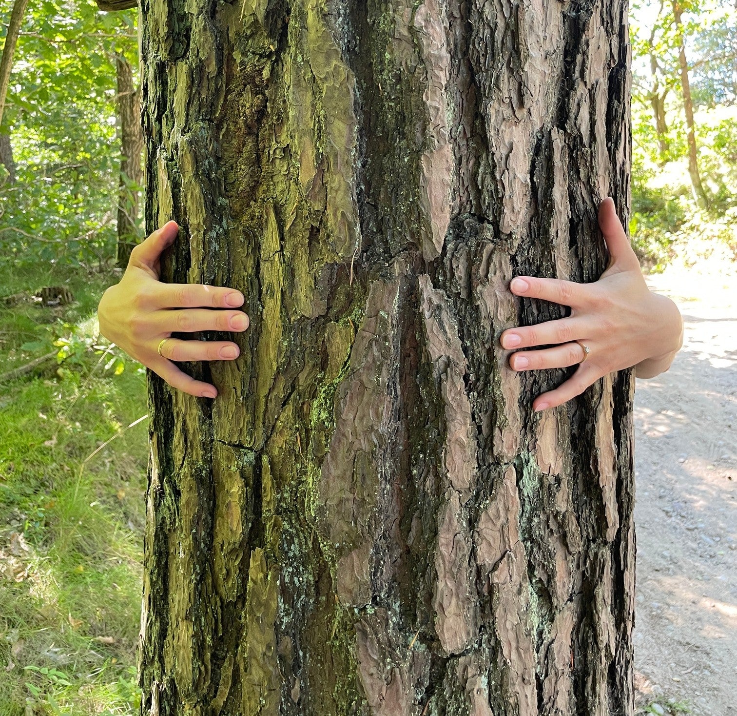 Wegańska artystka malująca ekologicznymi farbami na płótnie, pozująca za drzewem w artystycznej sesji zdjęciowej.